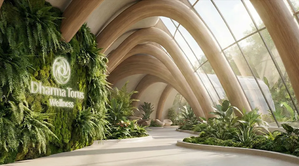 Daylight & Natural Rhythms